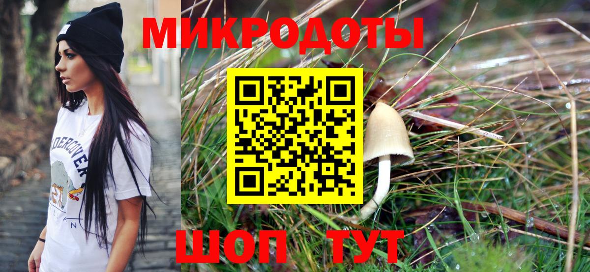 Таганрог  Псилоцибиновые грибы MAGIC MUSHROOMS  Вход с VPN 