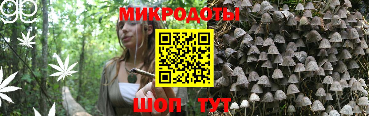 Псилоцибиновые грибы MAGIC MUSHROOMS Таганрог